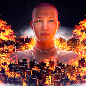 网站SSL小鲤导航
