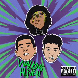 网站SSL小鲤导航
