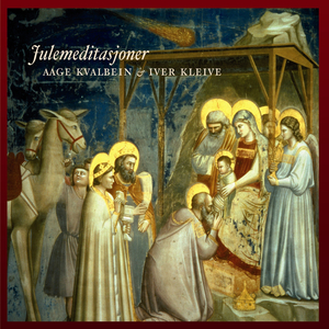 网站SSL小鲤导航
