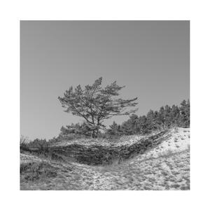 网站SSL小鲤导航
