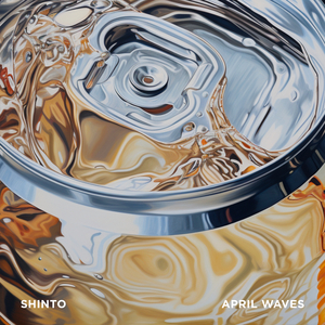 网站SSL小鲤导航
